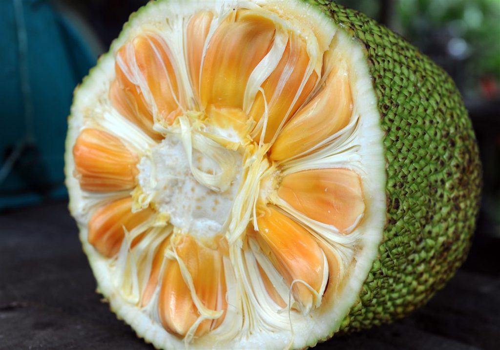 ABOUT US JackAndChill