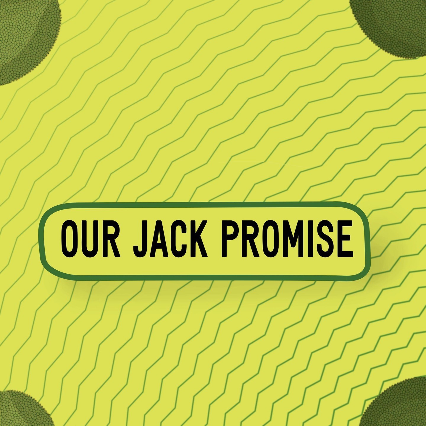 Jack and chill Jack promise